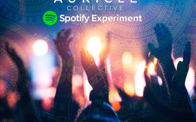 Fresh Tracks From the Auricle Collective!
